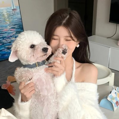 爱是一把枪