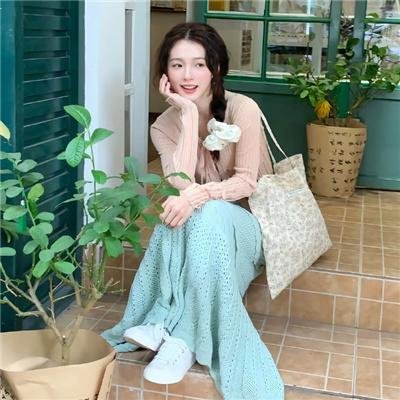 鸽之翼