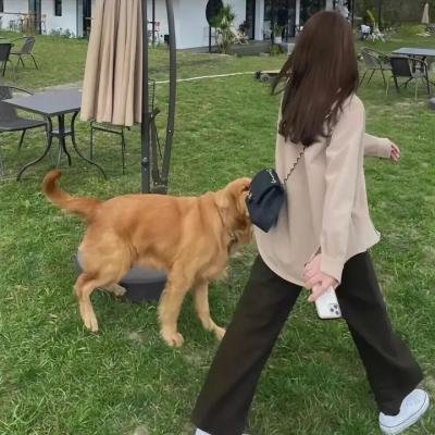 火球：来自黑暗世界的访客